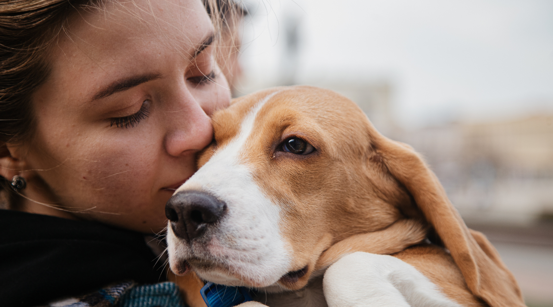 Animal Therapy at Home: Expert Lists 6 Best Pets for Children with Autism