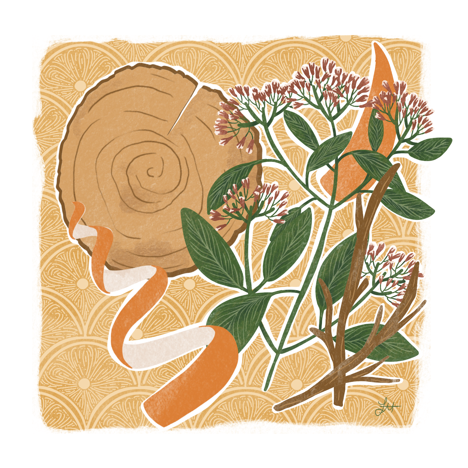 SWEDISH DISHCLOTHS 5 PACKE