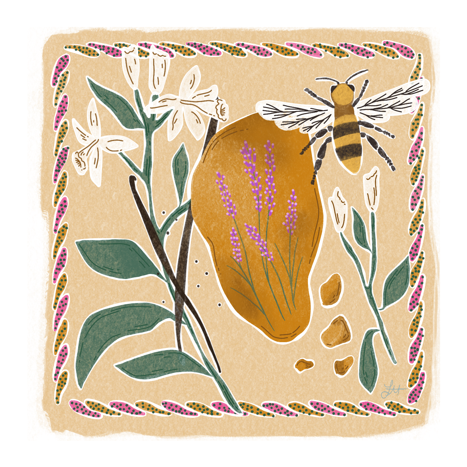 SWEDISH DISHCLOTHS 5 PACKE