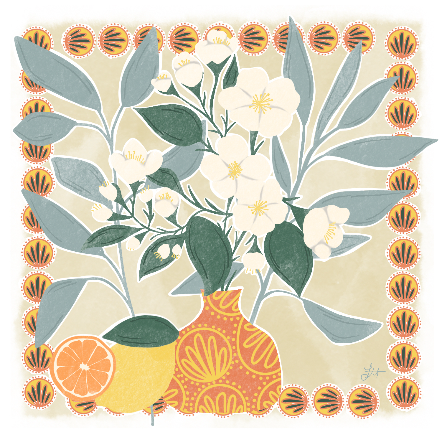 SWEDISH DISHCLOTHS 5 PACKE