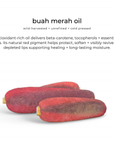 Glossberry lush lip oil *NEW!