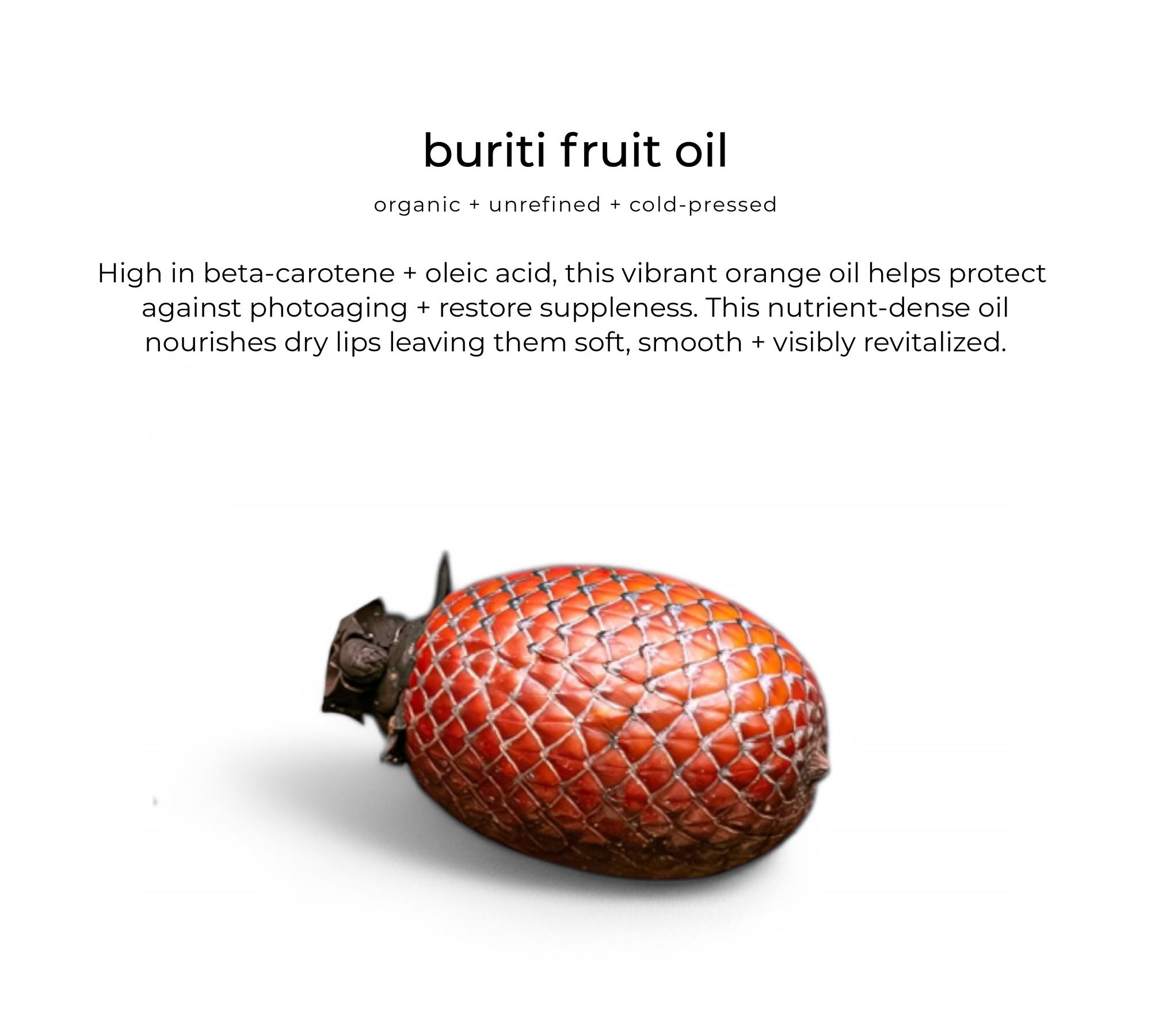 Glossberry lush lip oil *NEW!