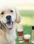 Pet Pampering Gift Box -All-Natural Pet Wellness Kit – Soothing Balms & Herbal Coat Powder