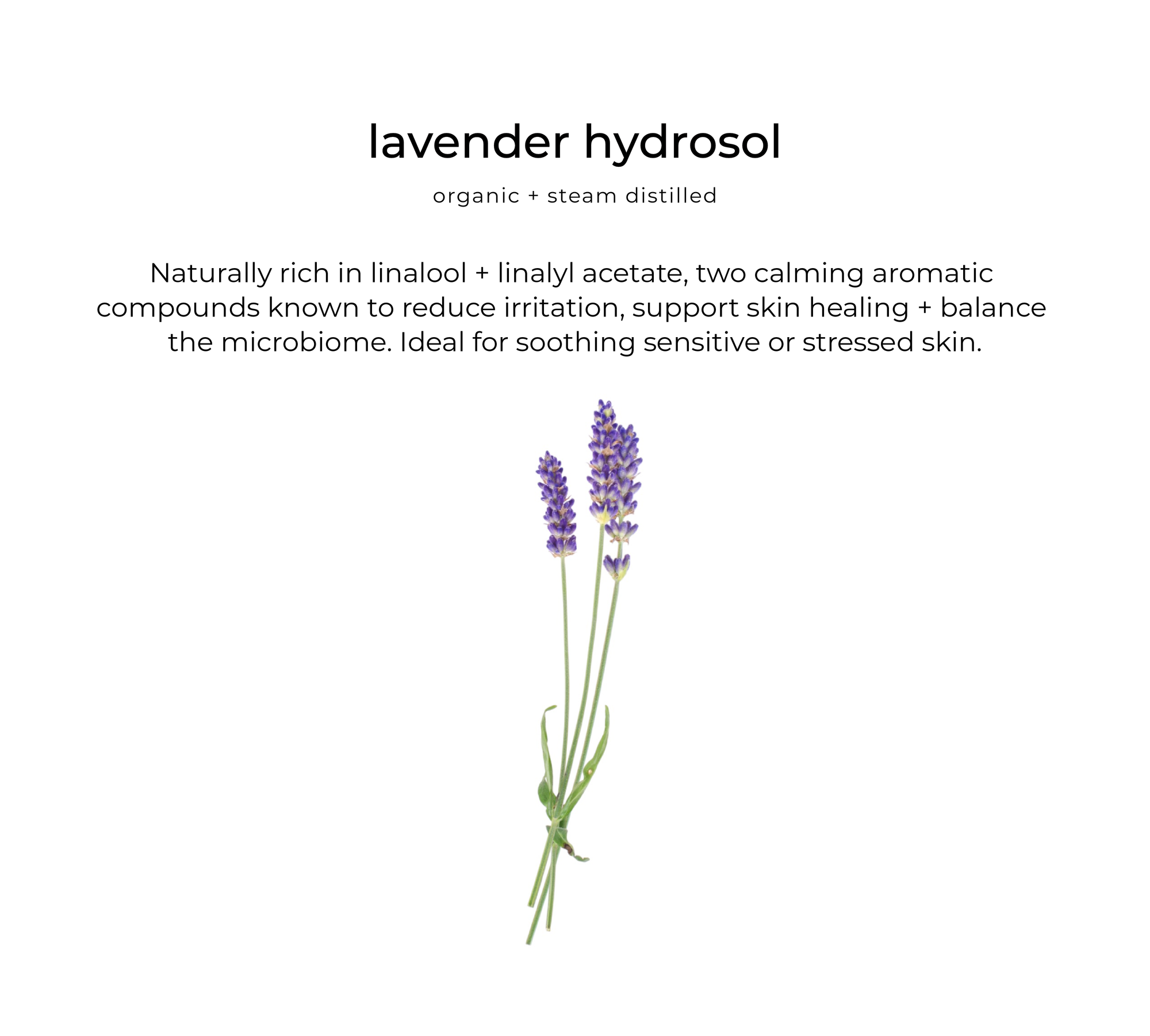 Habitual hydrator
