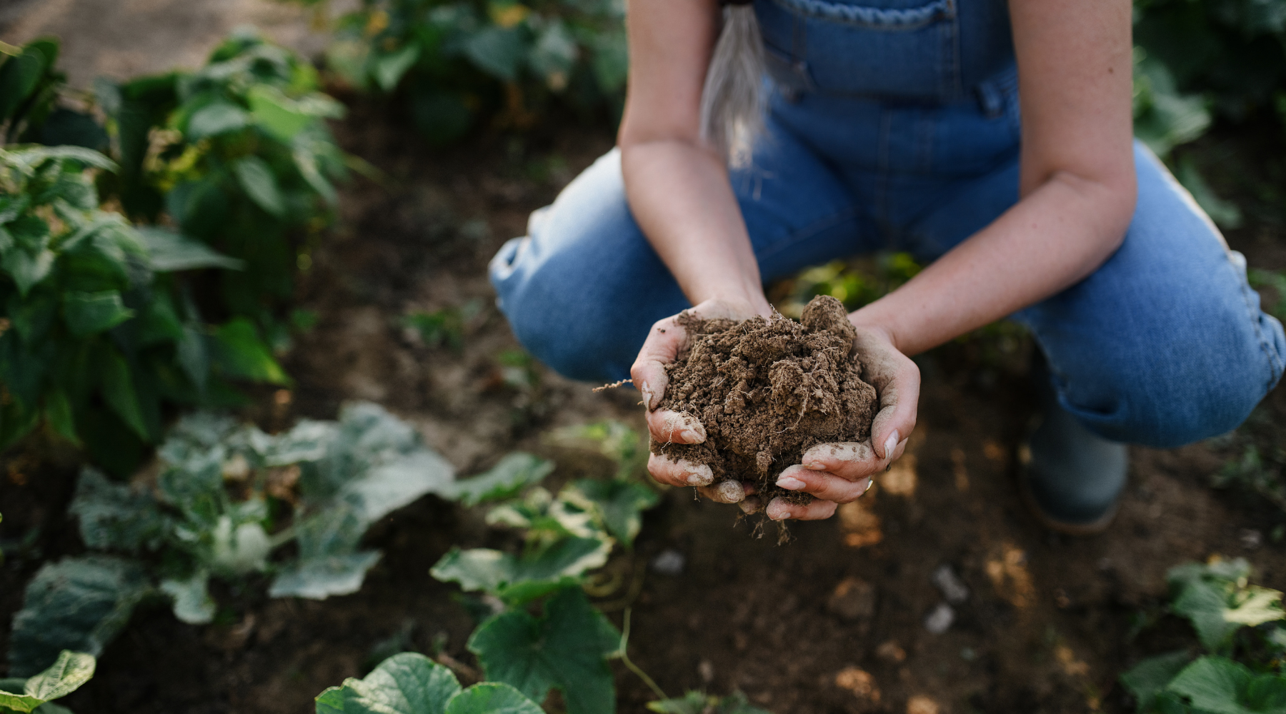 The End of "Anti-Bacterial" Living: Why Personal Ecology is the Future of Wellness