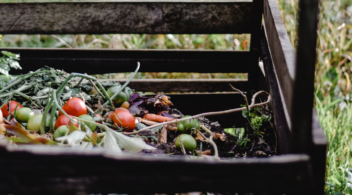 Composting for Beginners: A Sustainable Journey Towards a Greener World