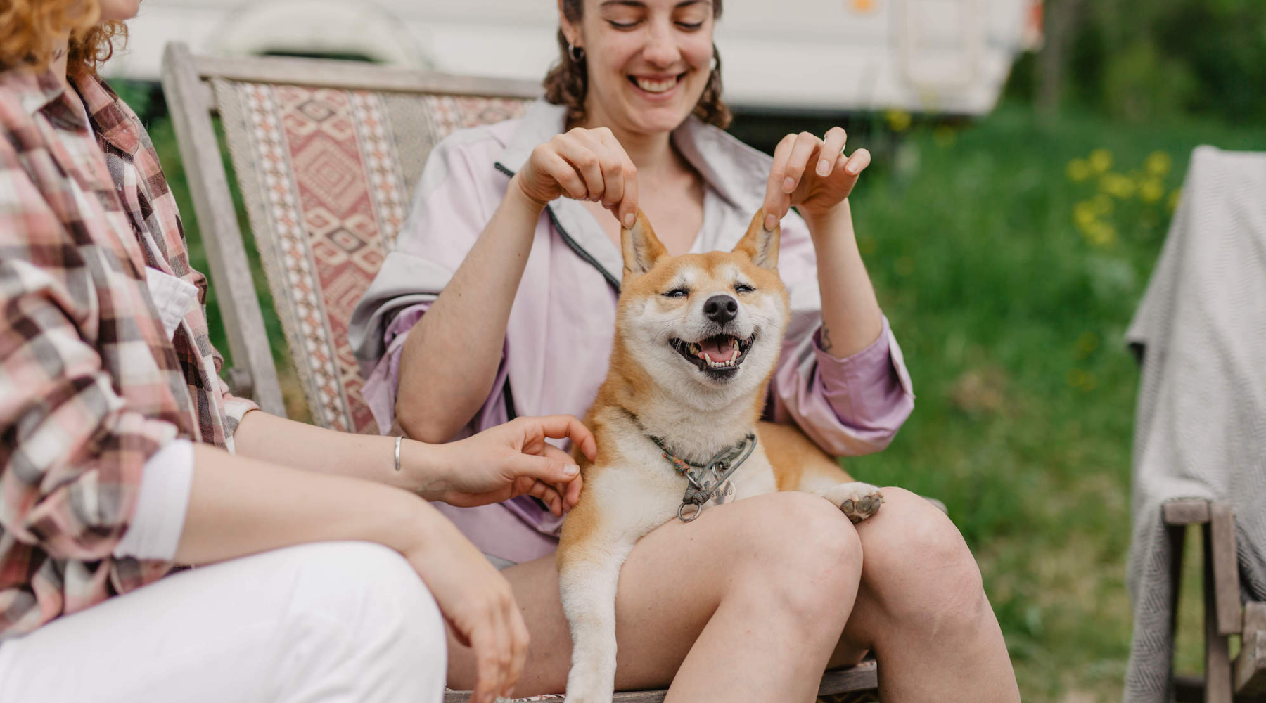 Nurturing Your Furry Friend: A Guide to Dog Skincare, Treats, and Accessories