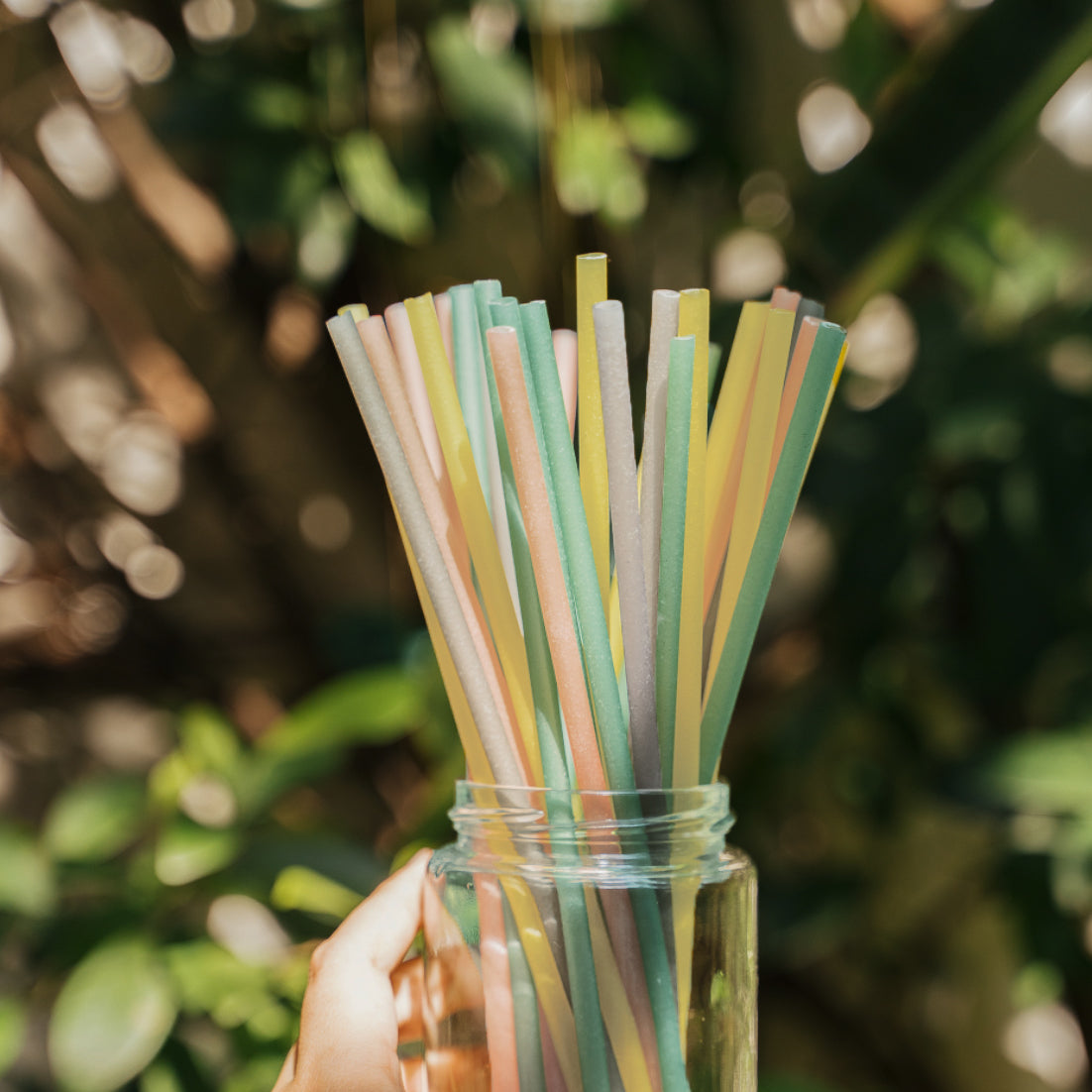 Rice Drinking Straws by EQUO