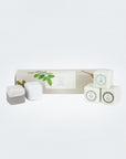 Earthy Shower Steamer, Refreshing Gift Box for Men and Women, Set of 5 Shower Steamers