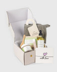 Natural Citrus Bath & Body Skincare Set, A Thoughtful & "Thinking of You" Gift