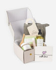 Natural Citrus Bath & Body Skincare Set, A Thoughtful & "Thinking of You" Gift