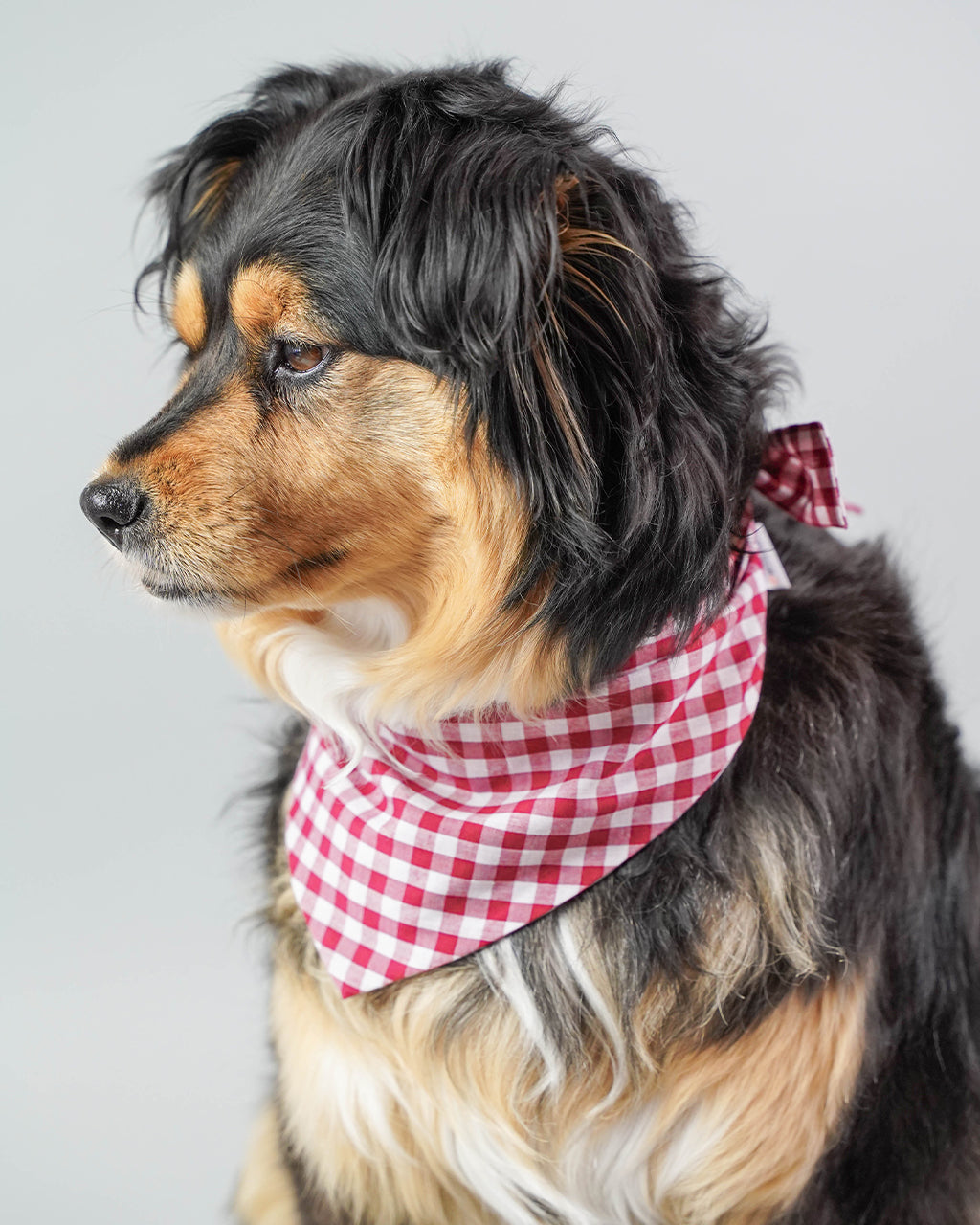 GINGHAM BANDANA by MODERNBEAST