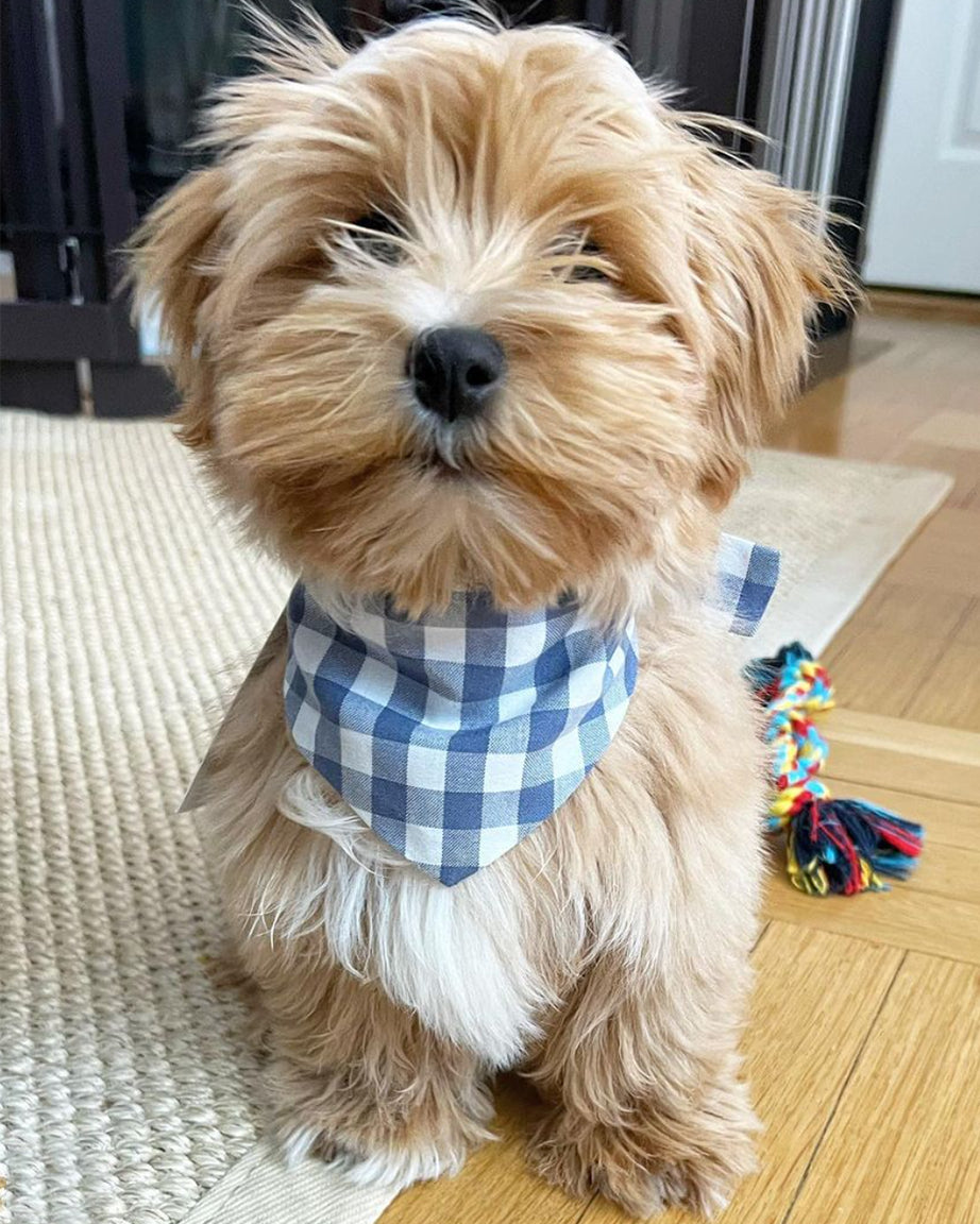 GINGHAM BANDANA by MODERNBEAST