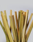 Grass Drinking Straws by EQUO