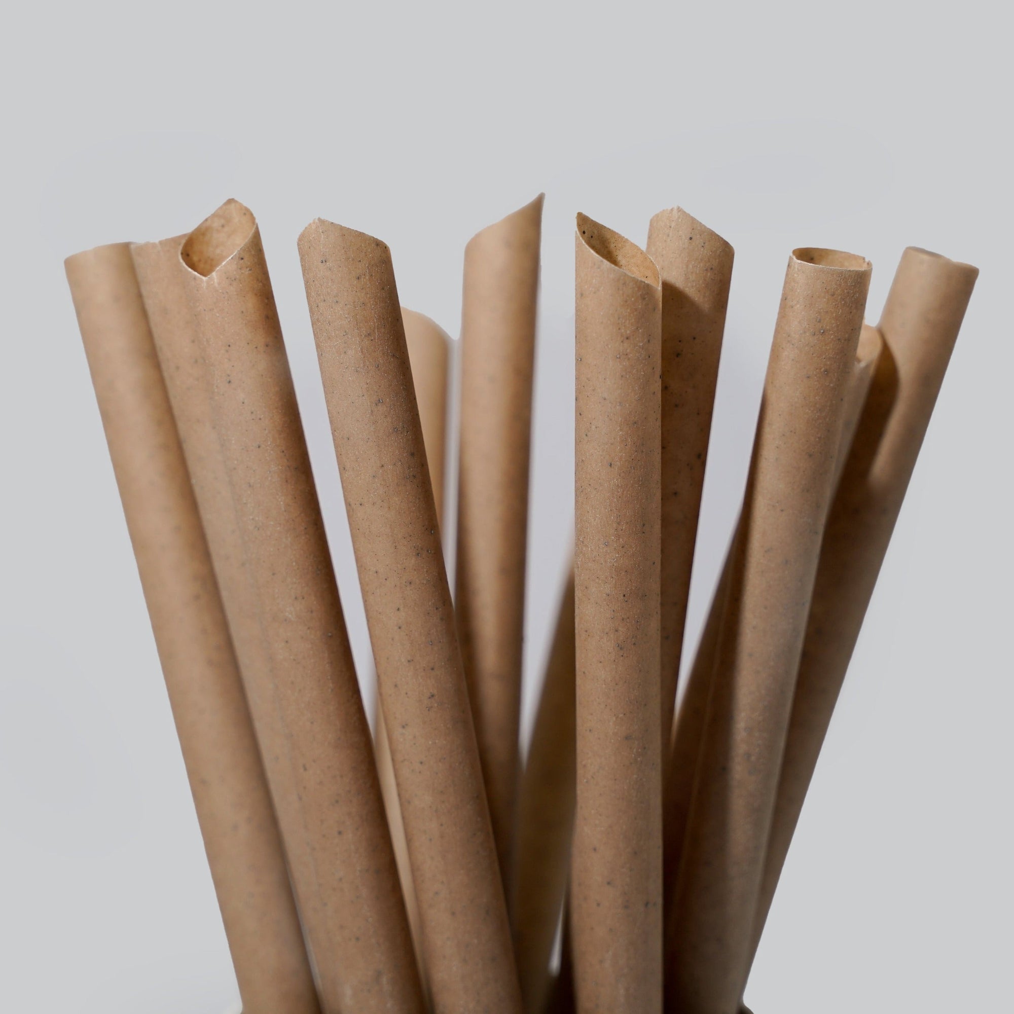 Coffee Drinking Straws by EQUO