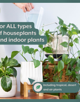 The Complete Plant Care Bundle (Plant Food + ProBiotics + Natural Pest Control) for HOUSEPLANTS by Instant Plant Food