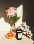 Neroli Noir Candle by Brooklyn Candle Studio