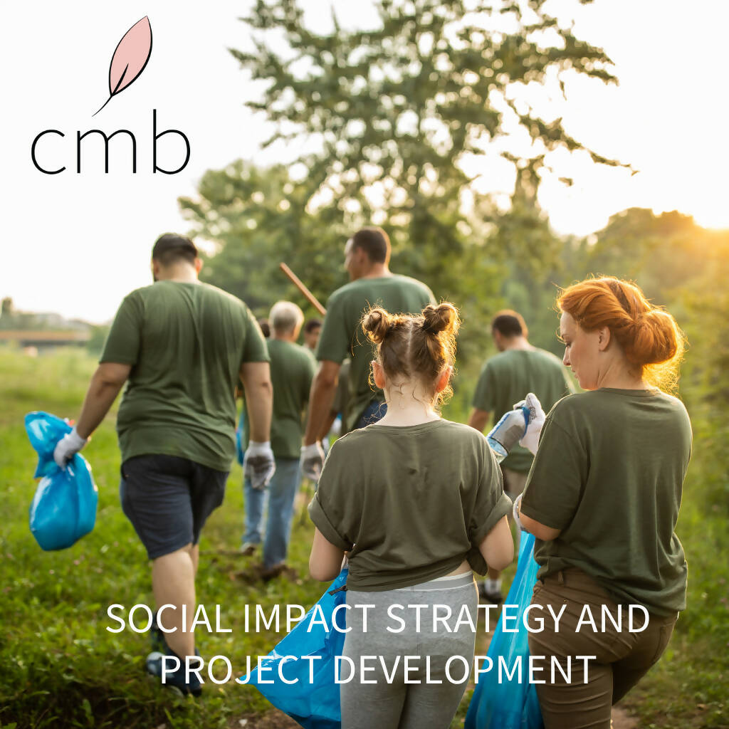 Social Impact Strategy and Project Development