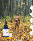 HIP & JOINT Soothing Massage Oil for Dogs for Mobility and Flexibility