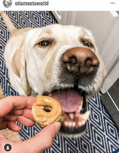 Load image into Gallery viewer, PB &amp; A Doggie Doughnuts

